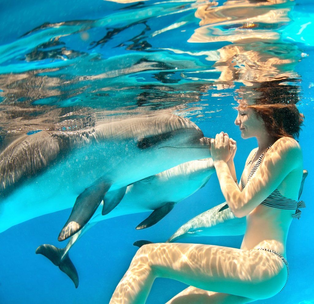 Swimming with dolphins